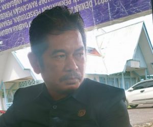 Anggota DPRD Sintang, Zulkarnain